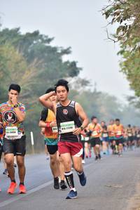 BIB: 20456, 21240
                            <button type="button" onclick="openModal(10140080)" class="btn btn-primary btn-sm float-right btn-popup" data-toggle="modal" data-target=".modal-high-quality">
                        <i class="fas fa-shopping-cart"></i> Add to Cart
                    </button>
                                            <button type="button" onclick="isThisMe(10140080, true)" class="btn btn-success btn-sm float-right btn-popup btn-isme hidden" data-toggle="tooltip" data-placement="bottom" title="นี่คือรูปของคุณใช่ไหม คลิกที่นี่เพื่อเอาเข้าอัลบั้ม">
                        <i class="fas fa-plus"></i> Add to album
                    </button>
                    <button type="button" onclick="isThisMe(10140080, false)" class="btn btn-warning btn-sm float-right btn-popup btn-isnotme hidden">
                        <i class="fas fa-ban"></i> Remove from album
                    </button>